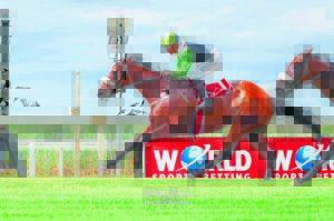 Greeff, Smith hold tight to top spots