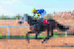 IN THE SADDLE: Friday is Derby Day