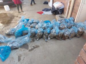 Police nab suspects and confiscate abalone worth millions