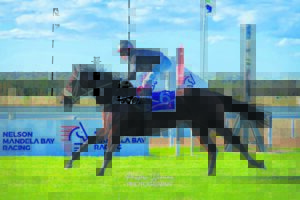 IN THE SADDLE | Vision of Wonder, champ in the making