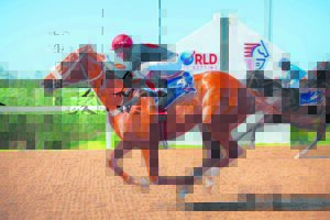IN THE SADDLE: Racing rivalry between Greeff and Smith continues