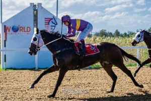 Friday is Derby Day