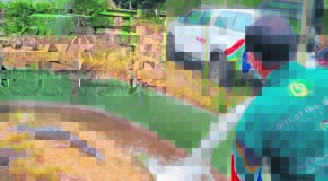 NGO jumps in to help remaining Seaview animals