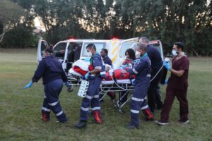 Toddler killed, mother injured after giraffe attack in northern KZN