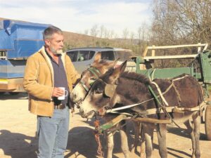 Free workshop on donkey, general animal care to be held