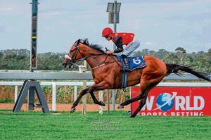 Action-packed racing month ahead