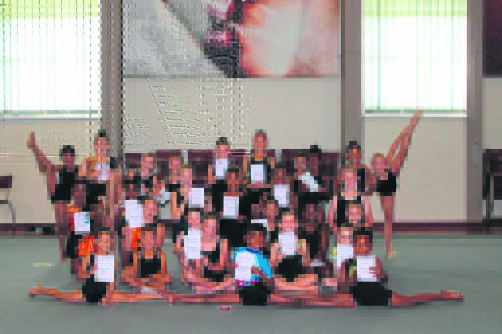 Local gymnastic team in need of sponsorship for top tournament