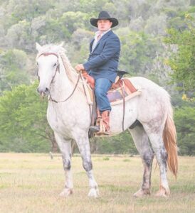 Horsepower at the 2024 SPAR Kirkwood Wildsfees