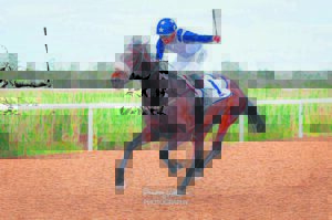 IN THE SADDLE: Polytrack impresses for the last time this year