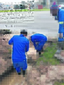 Water leaks and meters in NMB: Whose responsibility?