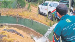 NGO jumps in to help remaining Seaview animals