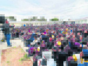 IPTS school transport programme launched at Arcadia High