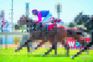 IN THE SADDLE : Racing action building to WSB East Cape Derby