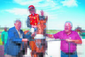 IN THE SADDLE: Four wins for Greeff