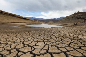 January 2022 could be driest in 122 years for Nelson Mandela Bay