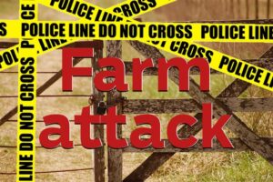 Two injured in Addo farm attack