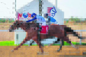 IN THE SADDLE: Friday’s race promises a nail-biting finish