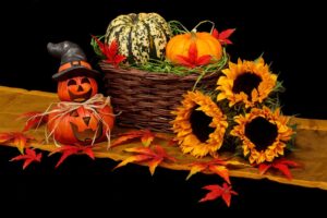 Get ready for spooktacular Trick or Treat Fun Run