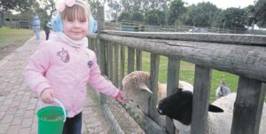 Tourism in the Spotlight: Holmeleigh Farmyard