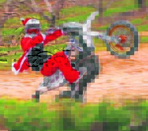 Rover MCC President’s Picnic