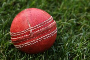 IN THE SCHOOL’S DEN: It’s Grey Cricket Festival time!