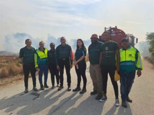 Sunday morning: All NMB fires ‘under control’