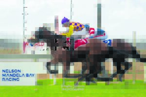 IN THE SADDLE | Lady trainers on the move in Nelson Mandela Bay