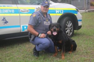 Popular Gqeberha K9, ‘Mufasa’ dies