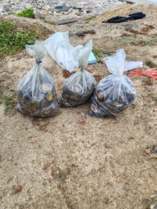 R1.2 million worth of abalone equipment seized