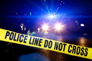 Two bodies found close to N2 in Greenbushes