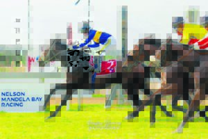 IN THE SADDLE: New season starts Friday