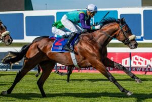 IN THE SADDLE | Ten-race meeting at Fairview Turf track this Friday