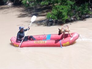 Double drowning at Sunday’s River