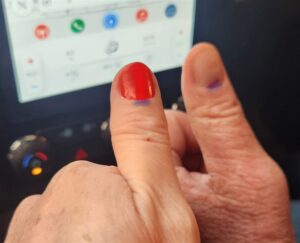 Nelson Mandela Bay: ANC takes most of the votes