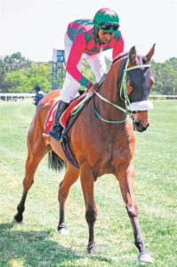 NMB Racing Poly Challenge finals ahead