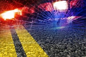 Pedestrian hit by car after running across N2 freeway, dies