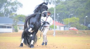 Wild is wagwoord vir unieke fees