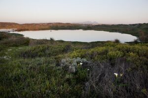 Steer clear of large bodies of water this Easter, DWS warns