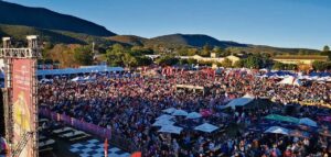 A ‘wild’ celebration in the heart of citrus country