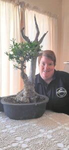 Annual Bonsai show to showcase over 100 unique trees
