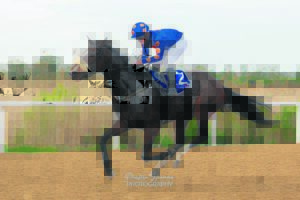 IN THE SADDLE | 2000th career winner for top jockey