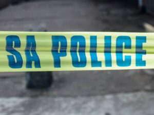 Gqeberha K9 unit arrest hijacking suspect