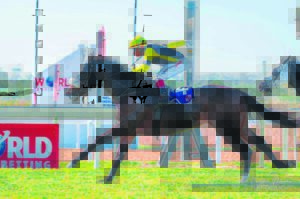 IN THE SCHOOL’S DEN: East Cape Poly Challenge action on Friday