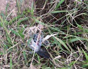 Cable thief caught in the act on busy N2
