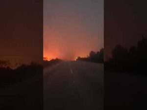 WATCH: Firefighters battle with raging fire in Tsitsikamma