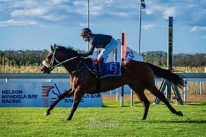 Vision of Wonder, champ in the making