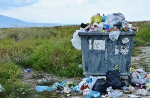 NMB residents encouraged to clean up on World Earth Day
