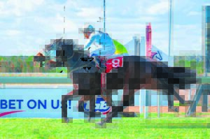 IN THE SADDLE: Poly Challenge action heats up on Friday