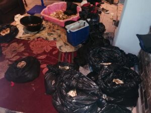 NMB | Massive abalone busts worth over R20 million made this week