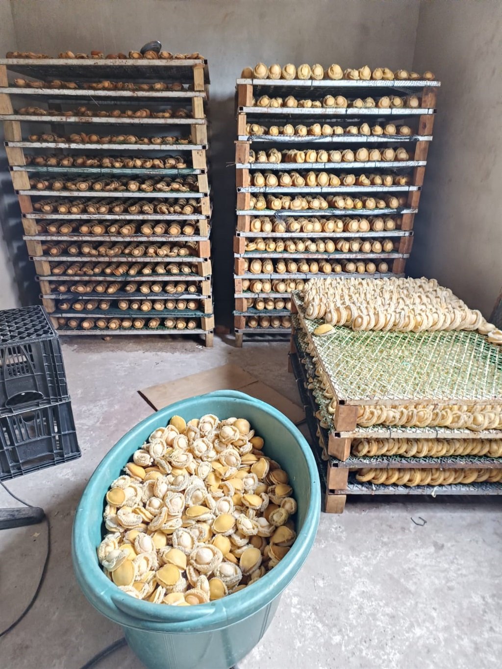 Abalone worth over R20 million was found on a smal